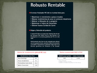 Principales razas porcinas