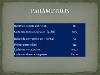 Intervalo destete cubrición           16

Ganancia media Diaria 20- (g/día)    695

Indice de conversión 20- (Kg/Kg)      3.1

Primer parto (días)                  342
Lechones vivos/parto                10-10.5
Lechones destetados/parto           8.5-10
 