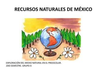 RECURSOS NATURALES DE MÉXICO
EXPLORACIÓN DEL MEDIO NATURAL EN EL PREESCOLAR.
2DO SEMESTRE. GRUPO A
 