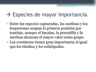  Especies de mayor importancia.
• Entre las especies capturadas, las sardinas y los
  boquerones ocupan la primera posición por
  tonelaje, aunque el bacalao, la pescadilla y la
  merluza alcanzan el mayor valor como grupo.
• Los crustáceos tienen gran importancia al igual
  que los túnidos y los cefalópodos.
 