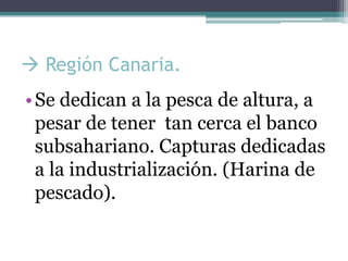  Región Canaria.
• Se dedican a la pesca de altura, a
  pesar de tener tan cerca el banco
  subsahariano. Capturas dedicadas
  a la industrialización. (Harina de
  pescado).
 