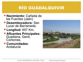 RÍO GUADALQUIVIR
Nacimiento: Cañada de
las Fuentes (Jaén)
Desembocadura: San
Lucar de Barrameda
Longitud: 657 Km.
Afluentes Principales:
Guadiana, Genil,
Corbones.
Comunidades:
Andalucía
CC.SS. GEOGRAFÍA E HISTORIA 1º ESO Alfonso Espejo Rodríguez
 