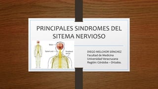 PRINCIPALES SINDROMES DEL
SITEMA NERVIOSO
DIEGO MELCHOR SÁNCHEZ
Facultad de Medicina
Universidad Veracruzana
Región: Córdoba – Orizaba.
 
