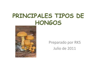 PRINCIPALES TIPOS DE HONGOS Preparado por RKS Julio de 2011 