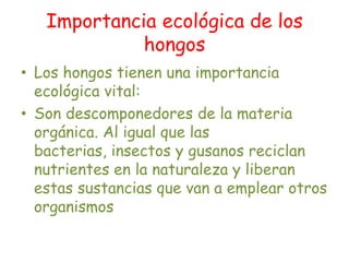 Importancia ecológica de los hongosLos hongos tienen una importancia ecológica vital: Son descomponedores de la materia orgánica. Al igual que las bacterias, insectos y gusanos reciclan nutrientes en la naturaleza y liberan estas sustancias que van a emplear otros organismos