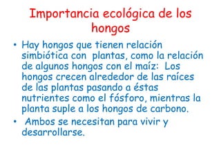 Importancia ecológica de los hongosHay hongos que tienen relación simbiótica con  plantas, como la relación de algunos hongos con el maíz:  Los hongos crecen alrededor de las raíces de las plantas pasando a éstas nutrientes como el fósforo, mientras la planta suple a los hongos de carbono.Ambos se necesitan para vivir y desarrollarse.