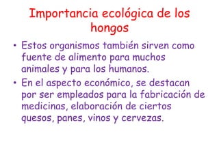 Importancia ecológica de los hongosEstos organismos también sirven como fuente de alimento para muchos animales y para los humanos.En el aspecto económico, se destacan por ser empleados para la fabricación de medicinas, elaboración de ciertos quesos, panes, vinos y cervezas.