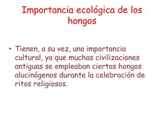 Importancia ecológica de los hongosTienen, a su vez, una importancia cultural, ya que muchas civilizaciones antiguas se empleaban ciertos hongos alucinógenos durante la celebración de ritos religiosos.
