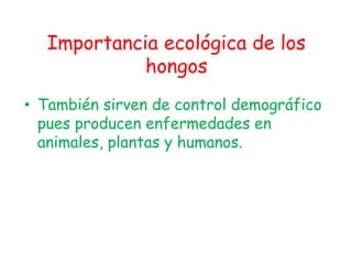 Importancia ecológica de los hongosTambién sirven de control demográfico pues producen enfermedades en animales, plantas y humanos.