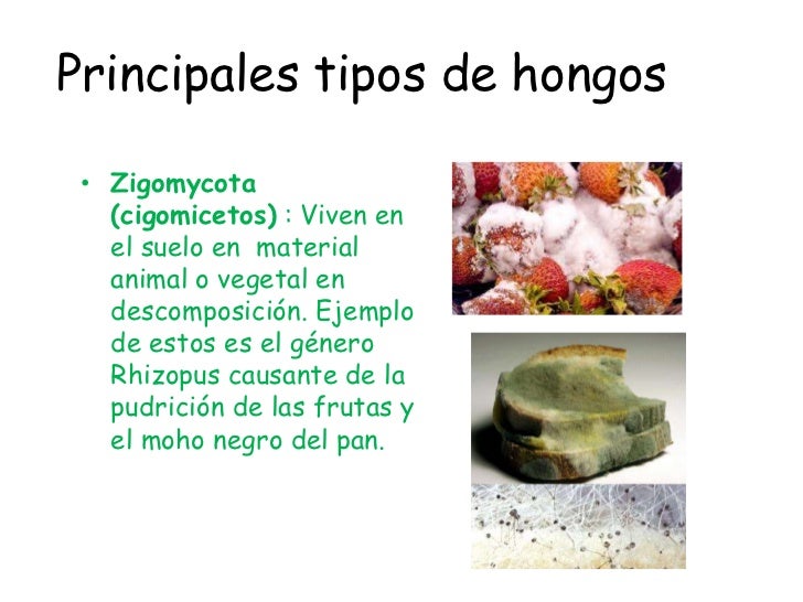 El preparado lotseril la aplicación