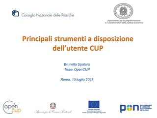 Brunella Spataro
Team OpenCUP
Roma, 10 luglio 2018
 