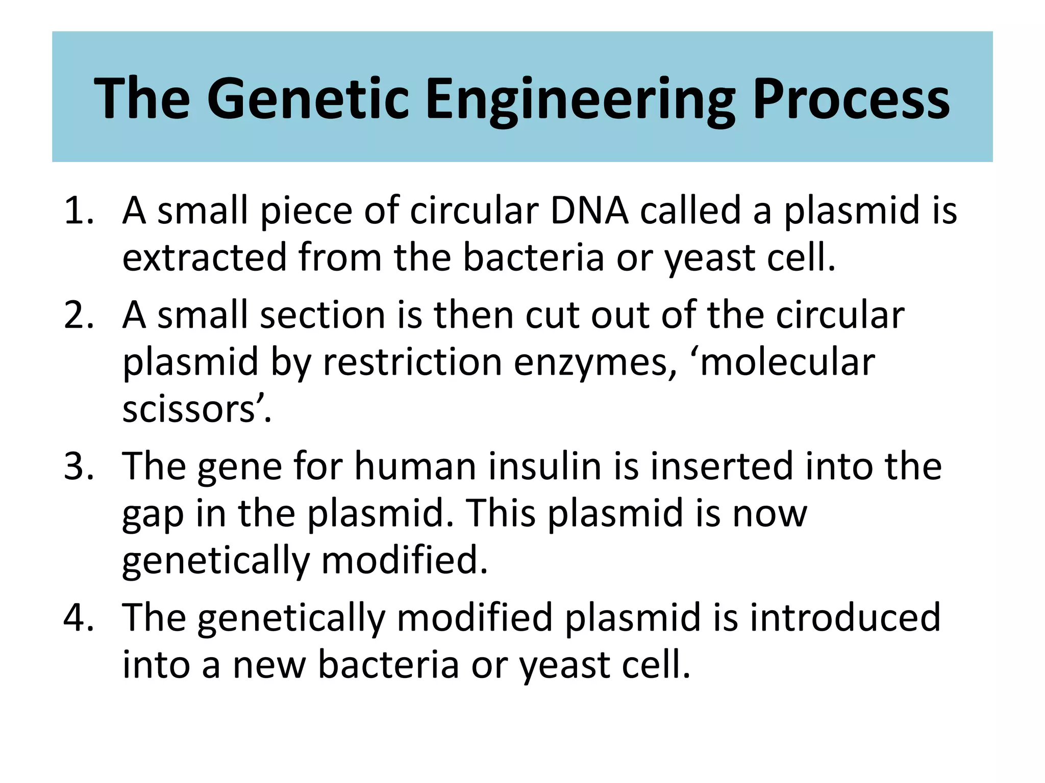 The Genetic Engineering Process
1. A small piece of circular DNA called a plasmid is
extracted from the bacteria or yeast cell.
2. A small section is then cut out of the circular
plasmid by restriction enzymes, ‘molecular
scissors’.
3. The gene for human insulin is inserted into the
gap in the plasmid. This plasmid is now
genetically modified.
4. The genetically modified plasmid is introduced
into a new bacteria or yeast cell.
 