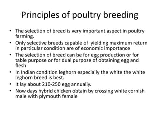 Principles of poultry breeding
• The selection of breed is very important aspect in poultry
farming.
• Only selective breeds capable of yielding maximum return
in particular condition are of economic importance
• The selection of breed can be for egg production or for
table purpose or for dual purpose of obtaining egg and
flesh
• In Indian condition leghorn especially the white the white
leghorn breed is best.
• It lay about 210-250 egg annually.
• Now days hybrid chicken obtain by crossing white cornish
male with plymouth female
 