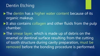 Dentin Etching
The dentin has a higher water content because of its
organic makeup.
It also contains collagen and other fluids from the pulp
chamber.
The smear layer, which is made up of debris on the
enamel or dentinal surface resulting from the cutting
of tooth structure during cavity preparation, must be
removed before the bonding procedure is performed.
 