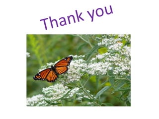 Princip cardsurg lect   copy