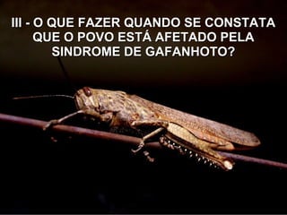 III - O QUE FAZER QUANDO SE CONSTATAIII - O QUE FAZER QUANDO SE CONSTATA
QUE O POVO ESTÁ AFETADO PELAQUE O POVO ESTÁ AFETADO PELA
SINDROME DE GAFANHOTO?SINDROME DE GAFANHOTO?
 