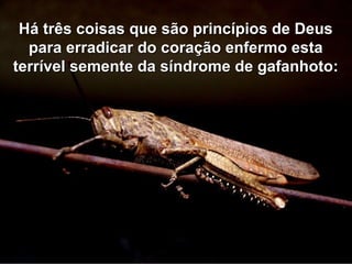 Há três coisas que são princípios de DeusHá três coisas que são princípios de Deus
para erradicar do coração enfermo estapara erradicar do coração enfermo esta
terrível semente da síndrome de gafanhoto:terrível semente da síndrome de gafanhoto:
 
