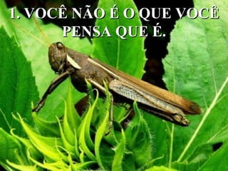 1. VOCÊ NÃO É O QUE VOCÊ1. VOCÊ NÃO É O QUE VOCÊ
PENSA QUE É.PENSA QUE É.
 