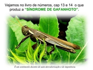 Vejamos no livro de números, cap 13 e 14 o que
produz a “SÍNDROME DE GAFANHOTO”.
É um sentimento doentio de auto-desvalorização e de impotência.
 