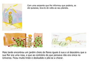 Mais tarde encontrou um jardim cheio de flores iguais à sua e aí descobriu que a sua flor era uma rosa, e que ao contrário do que pensava não era única no Universo. Ficou muito triste e desiludido e pôs-se a chorar. Com uma serpente que lhe informou que poderia, se ele quisesse, leva-lo de volta ao seu planeta. 