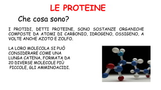I PROTIDI, DETTI PROTEINE, SONO SOSTANZE ORGANICHE
COMPOSTE DA ATOMI DI CARBONIO, IDROGENO, OSSIGENO, A
VOLTE ANCHE AZOTO E ZOLFO.
LA LORO MOLECOLA SI PUÒ
CONSIDERARE COME UNA
LUNGA CATENA, FORMATA DA
20 DIVERSE MOLECOLE PIÙ
PICCOLE, GLI AMMINOACIDI.
LE PROTEINE
Che cosa sono?
 