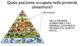 NELLA PIRAMIDE
ALIMENTARE I SALI
MINERALI OCCUPANO IL
SECONDO E IL QUINTO
POSTO.
Sali minerali
 