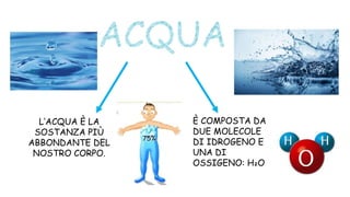 L’ACQUA È LA
SOSTANZA PIÙ
ABBONDANTE DEL
NOSTRO CORPO.
È COMPOSTA DA
DUE MOLECOLE
DI IDROGENO E
UNA DI
OSSIGENO: H₂O
 