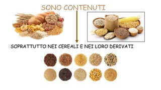 SOPRATTUTTO NEI CEREALI E NEI LORO DERIVATI
 