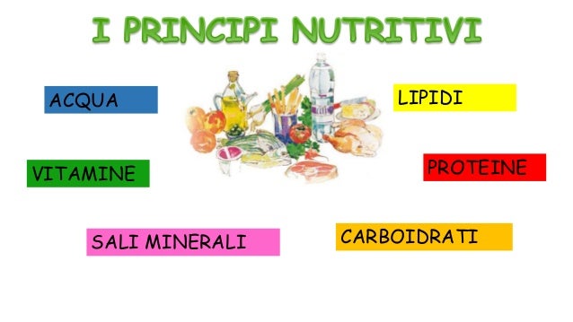 Principi nutritivi