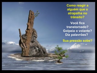 Prado Slides – Cidreira / RS
Como reagir a
alguém que o
atrapalha no
trânsito?
Você fica
transtornado?
Golpeia o volante?
Diz palavrões?
Sua pressão sobe?
.
 