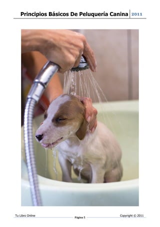 Principios Básicos De Peluquería Canina 2011




Tu Libro Online                       Copyright © 2011
                      Página 5
 