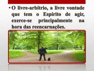 Princípio da ação e reação - n.19