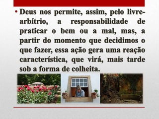 Princípio da ação e reação - n.19