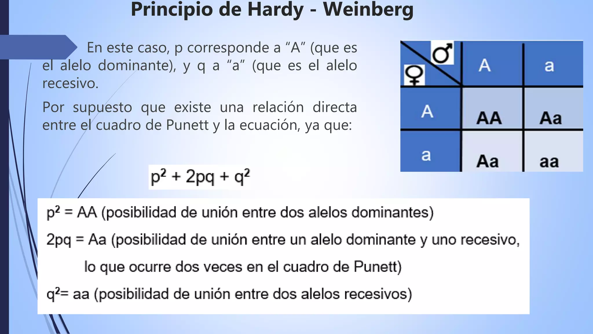 Principio de hardy weinberg | PPTX