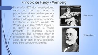 Principio de Hardy - Weinberg
 En el año 1907, dos investigadores,
cada uno por su lado, se
preguntaron si era posible predecir
la frecuencia de los alelos de
determinado gen en una población.
En efecto, el médico alemán W.
Weinberg y el matemático inglés G.
H. Hardy se hicieron la misma
pregunta y lograron deducir
ecuaciones que permiten hacer la
predicción de la frecuencia de los
alelos de un gen en una población,
pero bajo condiciones ideales.
G.H. Hardy
W. Weinberg
 