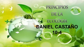 DANIEL CASTAÑO
10-4
 