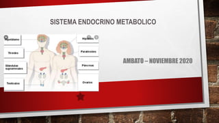 SISTEMA ENDOCRINO METABOLICO
AMBATO – NOVIEMBRE 2020
 