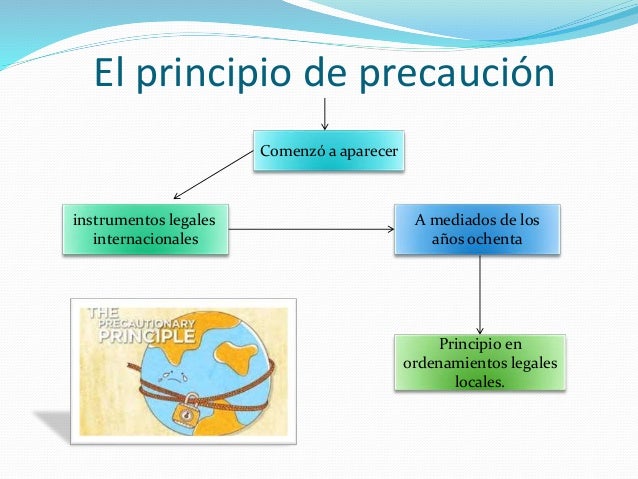 Principio de la precuacion