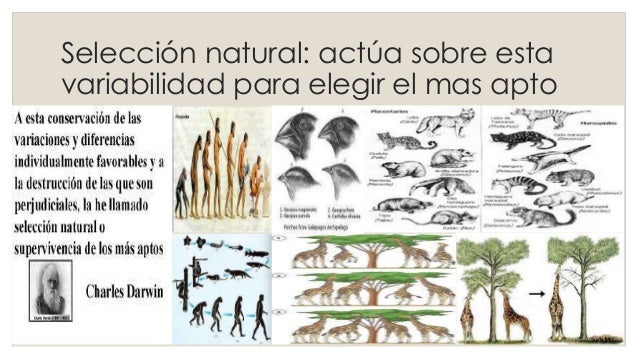Imagen relacionada