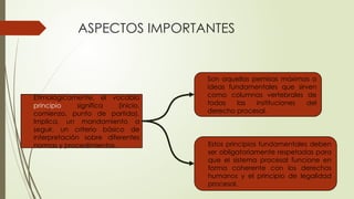 Sirla PRINCIPIO DEL DEBIDO PROCEDIMIENTO sirla.pptx