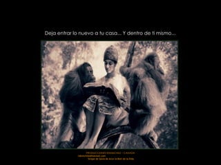 PRODUCCIONES RAKIMCHILE – CANADA rakimchile@hotmail.com  Sirope de Savia de Arce la Miel de la Vida Deja entrar lo nuevo a tu casa... Y dentro de ti mismo...  