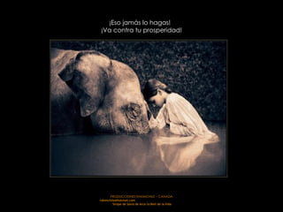 PRODUCCIONES RAKIMCHILE – CANADA rakimchile@hotmail.com  Sirope de Savia de Arce la Miel de la Vida ¡Eso jamás lo hagas!   ¡Va contra tu prosperidad! 