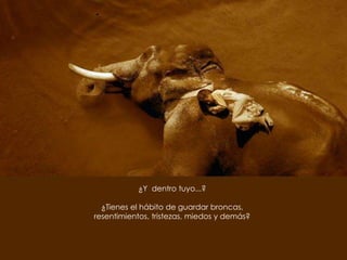 ¿Y  dentro tuyo...?¿Tienes el hábito de guardar broncas, resentimientos, tristezas, miedos y demás?  