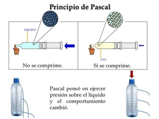 Principio de pascal | PPTX