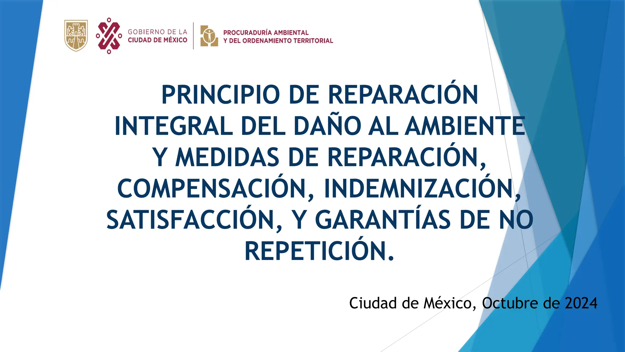 Principio de reparación integral del daño y medidas de reparación.pptx