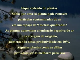 Fique rodeado de plantas.  Sabia que uma só planta pode remover  partículas contaminadas do ar  em um espaço de 9 metros quadrados?  As plantas aumentam a ionização negativa do ar  e o carregam de oxigênio,  aumentando nossa produtividade em 10%.  Algumas plantas como as dálias  provaram ser as melhores para isso. 