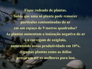 Fique rodeado de plantas.  Sabia que uma só planta pode remover  partículas contaminadas do ar  em um espaço de 9 metros quadrados?  As plantas aumentam a ionização negativa do ar  e o carregam de oxigênio,  aumentando nossa produtividade em 10%.  Algumas plantas como as dálias  provaram ser as melhores para isso. 