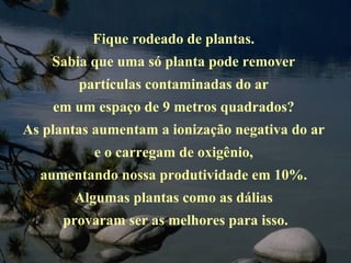 Fique rodeado de plantas.  Sabia que uma só planta pode remover  partículas contaminadas do ar  em um espaço de 9 metros quadrados?  As plantas aumentam a ionização negativa do ar  e o carregam de oxigênio,  aumentando nossa produtividade em 10%.  Algumas plantas como as dálias  provaram ser as melhores para isso. 