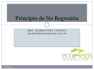 Principio de No Regresión

                     MSC. MARIO PEÑA CHACON
                     MARIOPENA@RACSA.CO.CR




Ecolegis, 2012
 