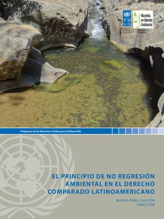Universidad de
Costa Rica

Programa de las Naciones Unidas para el Desarrollo

El principio de no regresión
ambiental en el derecho
comparado latinoamericano
Mario Peña Chacon
Direc tor

 